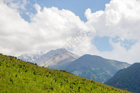 天山神木园哈萨克斯坦阿拉木图蒂恩尚山的卡斯凯伦峡谷山脉景背景