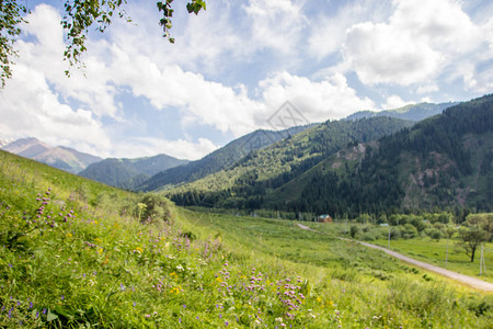 天山神木园哈萨克斯坦阿拉木图蒂恩尚山的卡斯凯伦峡谷山脉景背景