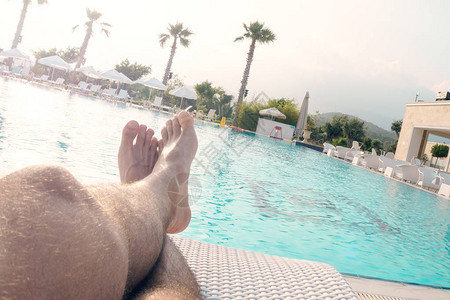 有棕榈树娱乐放松旅游等概念的大型游泳池背景下图片
