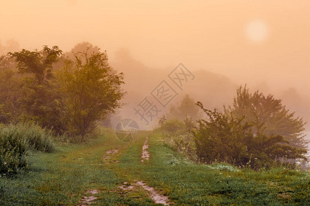 夏天的薄雾清晨路在公园里日出在浓雾图片