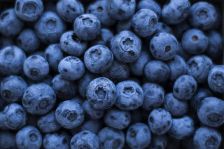 新鲜芬芳的蓝莓就像深色背景一样图片