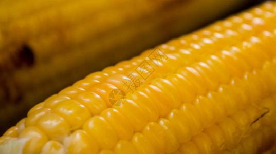 烤架上的新鲜玉米棒子特写图片