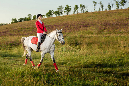 骑马的女员一匹红马上的女骑士马术骑马赛车图片