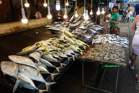 在斯里兰卡鱼店柜台出背景图片