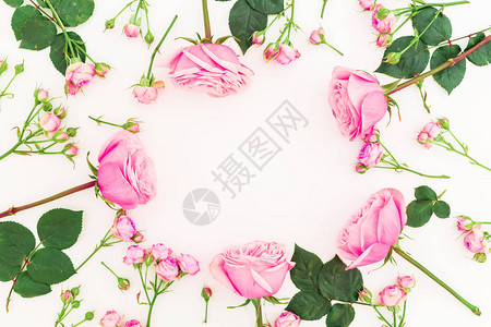 粉红色花朵以圆形式在白色背景图片