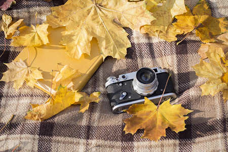 复古相机和书放在棕色格子上图片