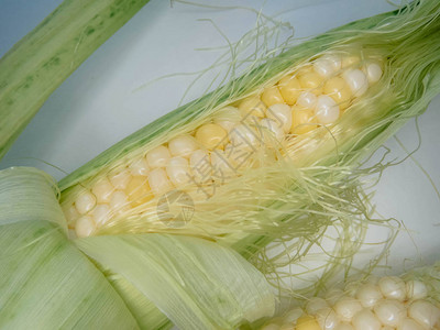 成熟的天然玉米鳕健康饮食生态友好产品有机食品样式顶图片