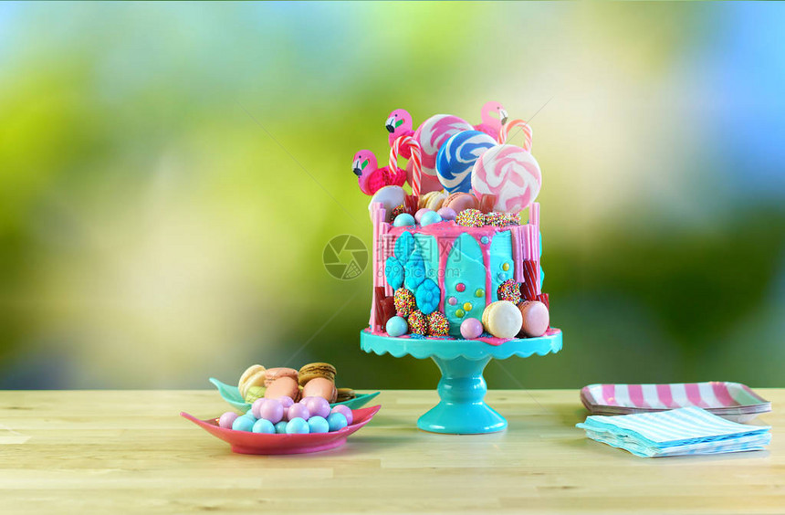 为孩子们准备的糖果园幻想滴油蛋糕十几岁生日年刊母亲节和情人节庆祝活动图片