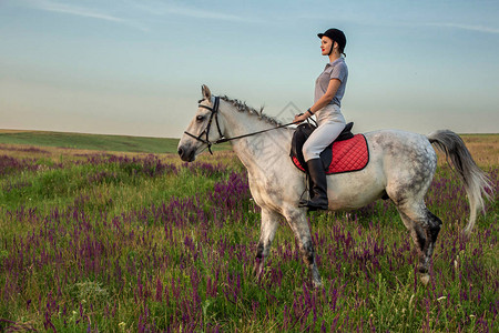 穿着制服的女骑士师在户外骑马日落骑马图片