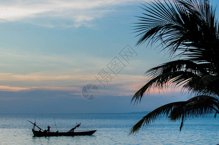 热带海滩椰子棕榈树和渔图片