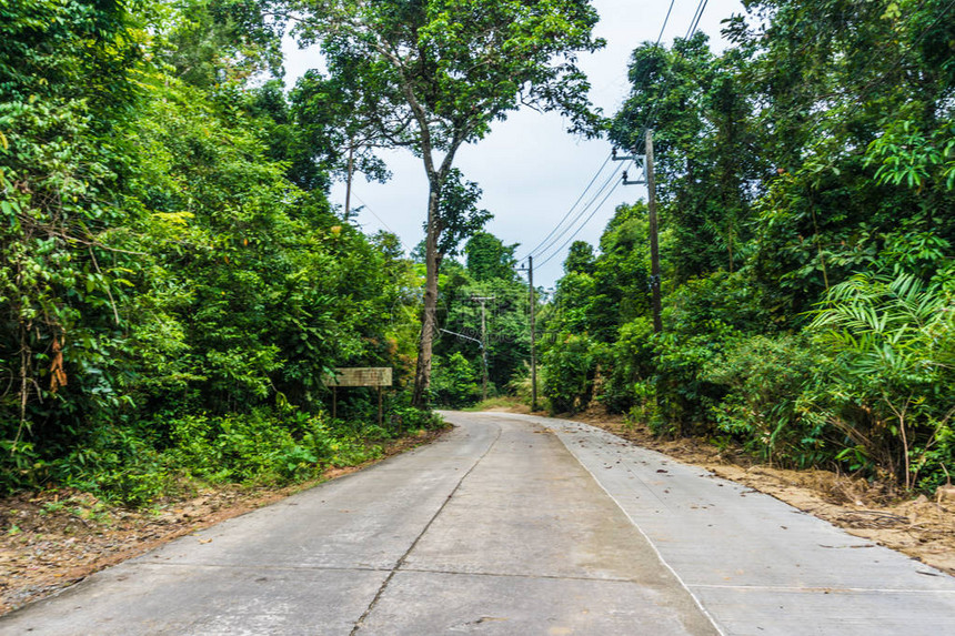 绿树成林的乡村坡道蜿蜒的小路图片
