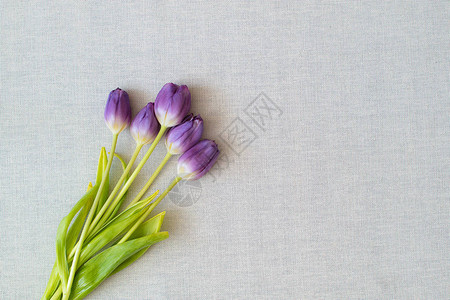 亚麻背景五朵淡紫色郁金香女人的盛宴图片