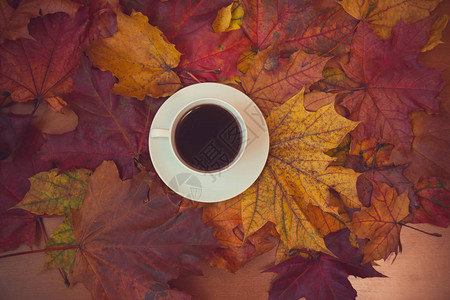 秋叶和咖啡图片