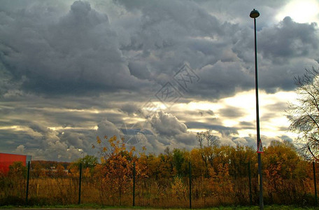 秋树云彩的天空图片