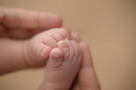 新生儿脚在父母的手中幸福家庭的概图片