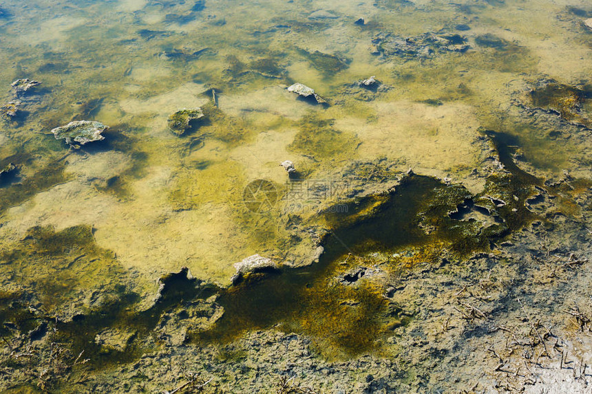湖底的质地有绿藻泥土和苔藓图片