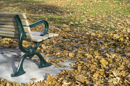 公园里有秋叶的长凳图片