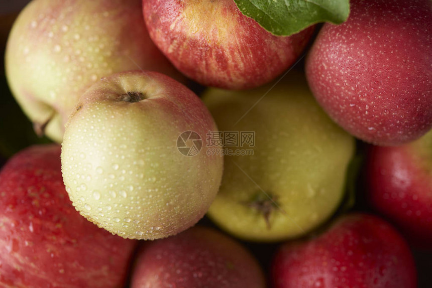 新鲜成熟的苹果图片