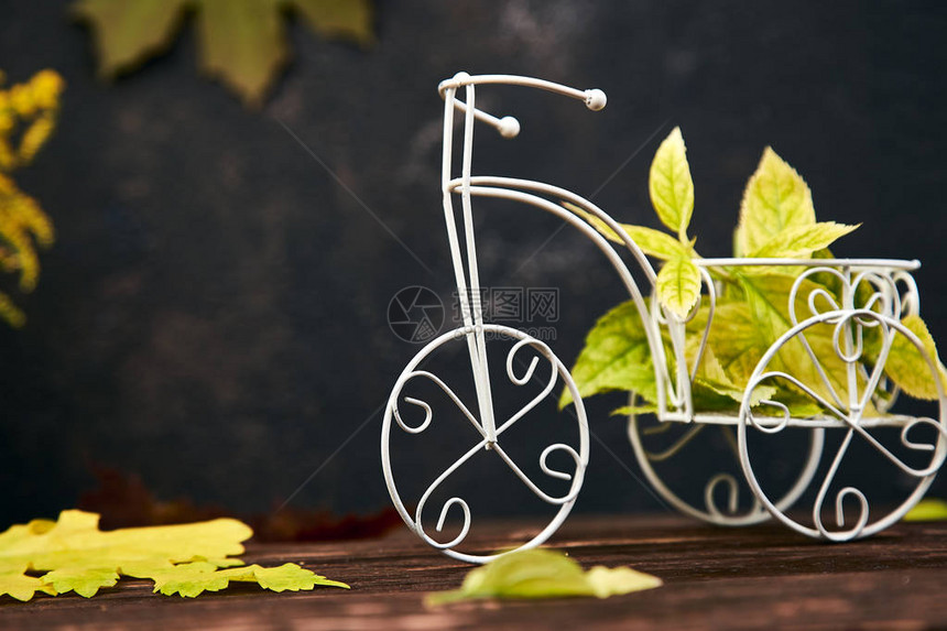 木制背景上五颜六色的秋叶自行车微型创意布局秋天来了秋季的图片