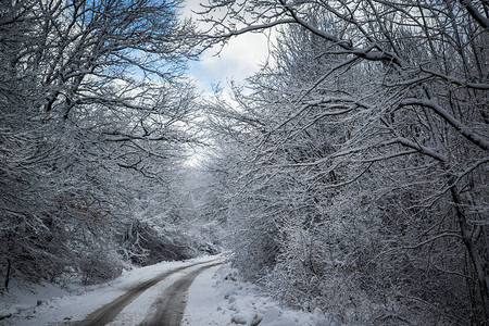 冬季驾驶冬季路乡间小路图片