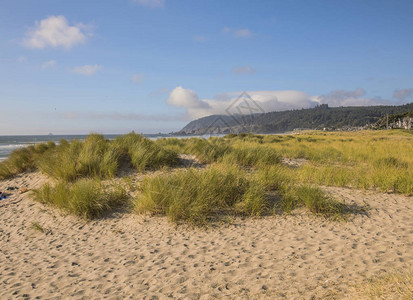 佳能海滩草沙和冲浪俄勒冈海岸图片