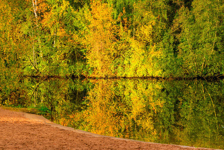明亮美丽的秋天风景观公园中图片
