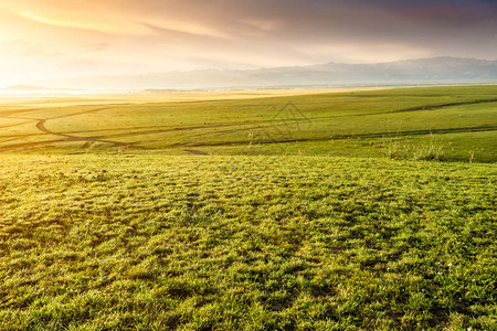 新疆的草原图片