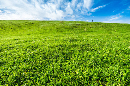 新疆的草原图片