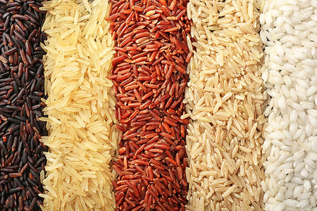不同类型的大米作图片