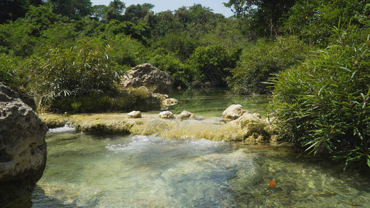 河流经丛林中的热带雨林热带河流丛林图片