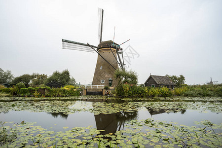 在荷兰的Kinderdij图片