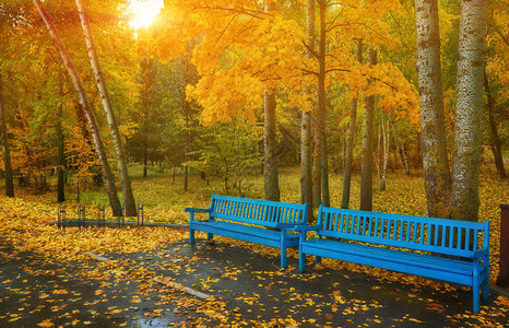 秋天公园长椅雨纹背景秋天公园下图片