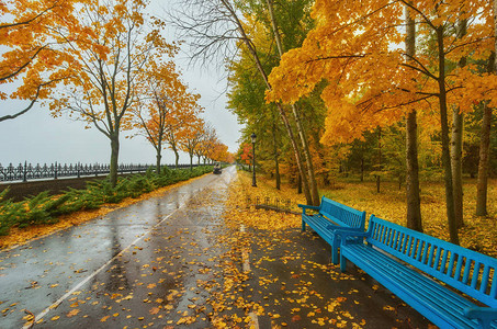 秋天公园长椅雨纹背景秋天公园下图片