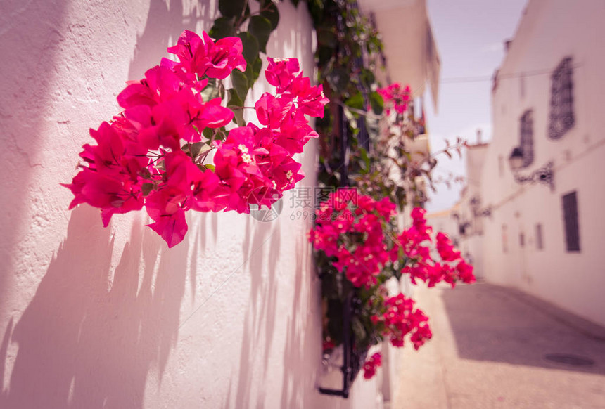 西班牙阿尔特亚村风景如画的狭窄街道上挂着白色房屋的窗户上挂着鲜花旅行和度假的概念阿尔特亚是位于科斯塔布兰卡中心图片