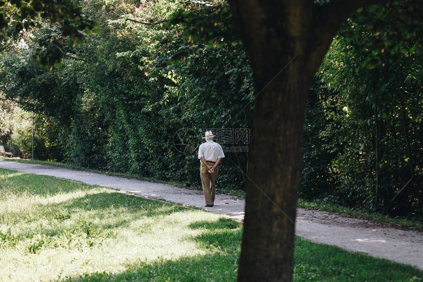 单身老人在夏季公园1散步享受