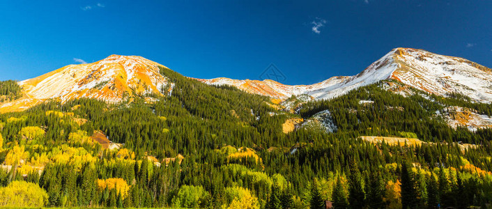 在科罗拉多州Telluride山峰的秋叶颜色黄树林和雪图片