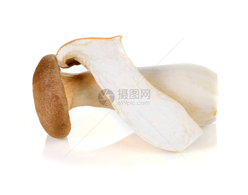 白色背景上的王平菇图片