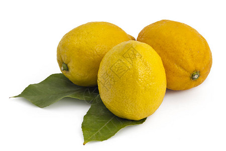 新鲜成熟柠檬美味的柑橘仁果和白底绝缘图片