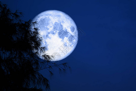 蓝月的蓝色月亮后光影树之夜红天空由美国航天局提图片