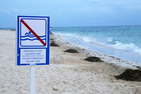 警告符号游泳不图片