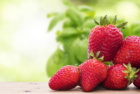 天然绿色背景的天然草莓图片