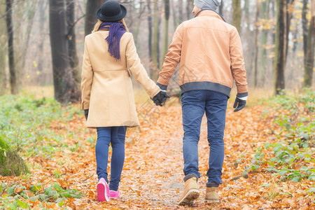 甜蜜的情侣牵手走在秋天的公园图片
