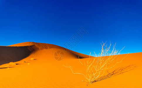 撒哈拉沙漠中沙丘的观察图片