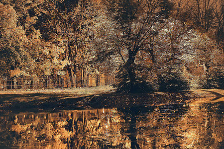 秋天公园里的池塘秋天森林里的水边景观图片