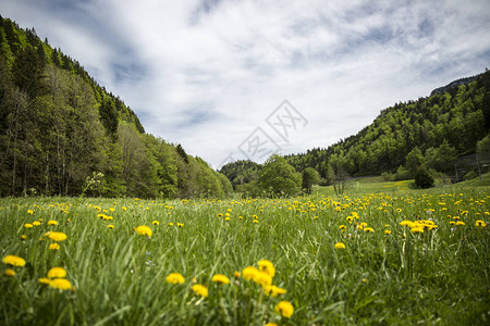 瑞士Jura山的风景与图片