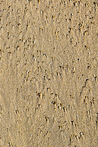 靠近沙滩上的沙子图片