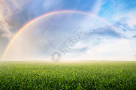 雨后的彩虹美丽的绿色草地上的天空图片
