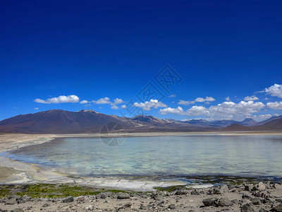 智利阿塔卡马沙漠安第斯山脉图片