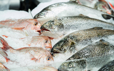 海鲜市场的冰鲜三文鱼背景图片