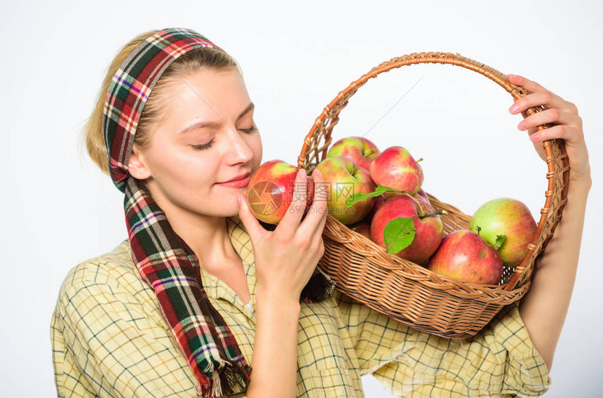 女园丁乡村风格拿着篮子有苹果白色背景女人真诚的村民提着篮子装着天然水果女农园丁为她的收获感到自豪图片